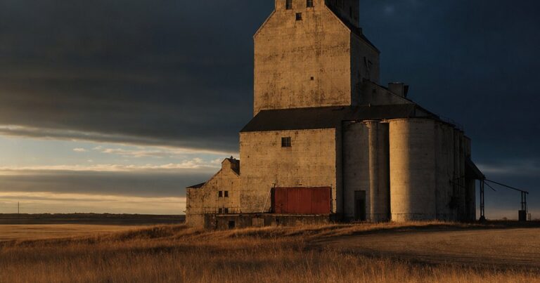 Saskatchewan SINP Francophone Strategy 2026: Win the 60-Point Grid